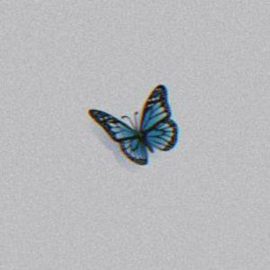 Meet your Posher, Madison's